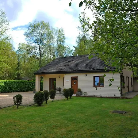 Plaisir Des Bois