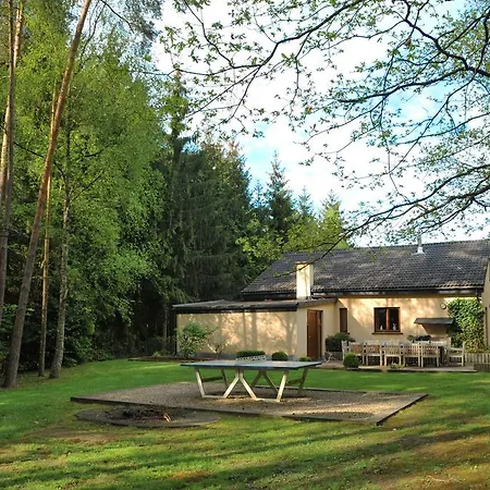 Plaisir Des Bois